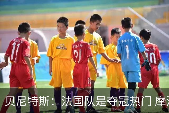 贝尼特斯：法国队是夺冠热门 摩洛哥、挪威、塞内加尔有黑马潜质